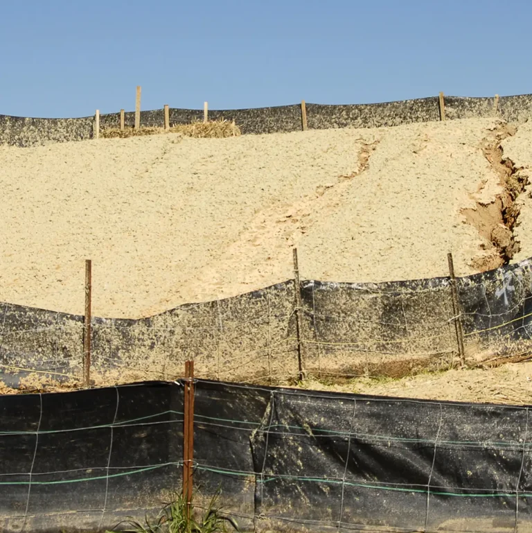 02 silt fence sand.jpg